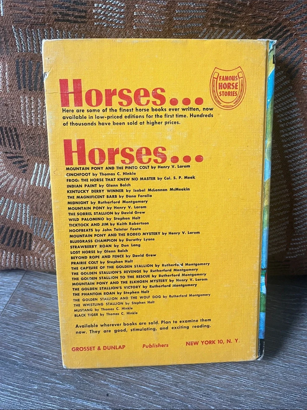 Beyond Rope and Fence by David Grew - Illustrated Blue & Tan Horse Cover 1947
